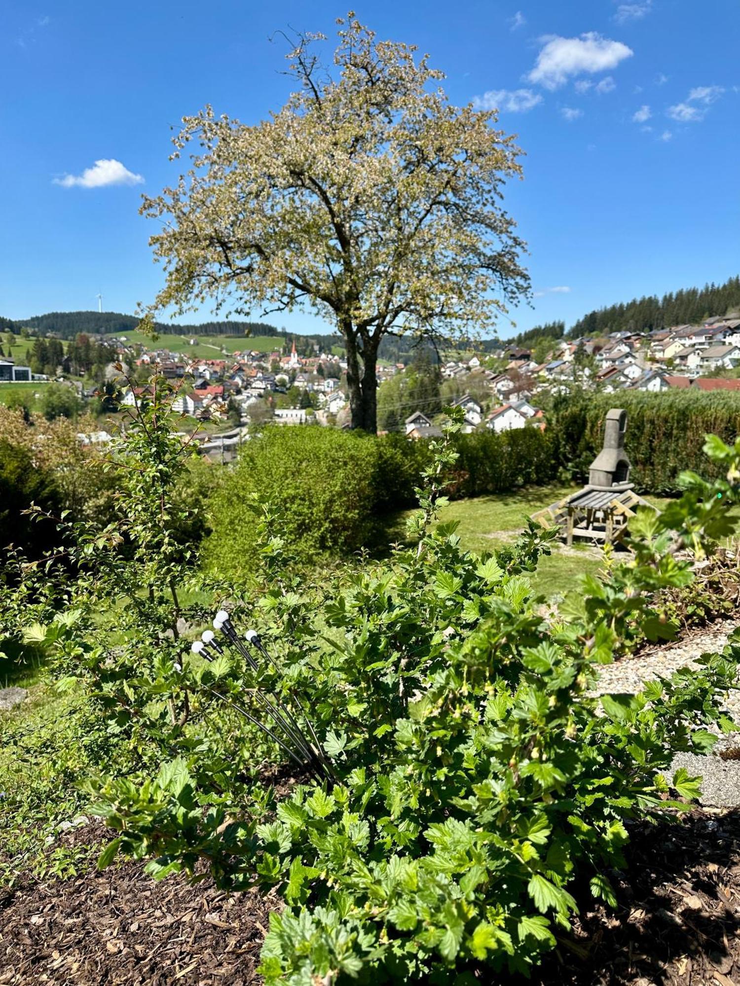 Schonach im SchwarzwaldSonneck Schonach公寓 外观 照片
