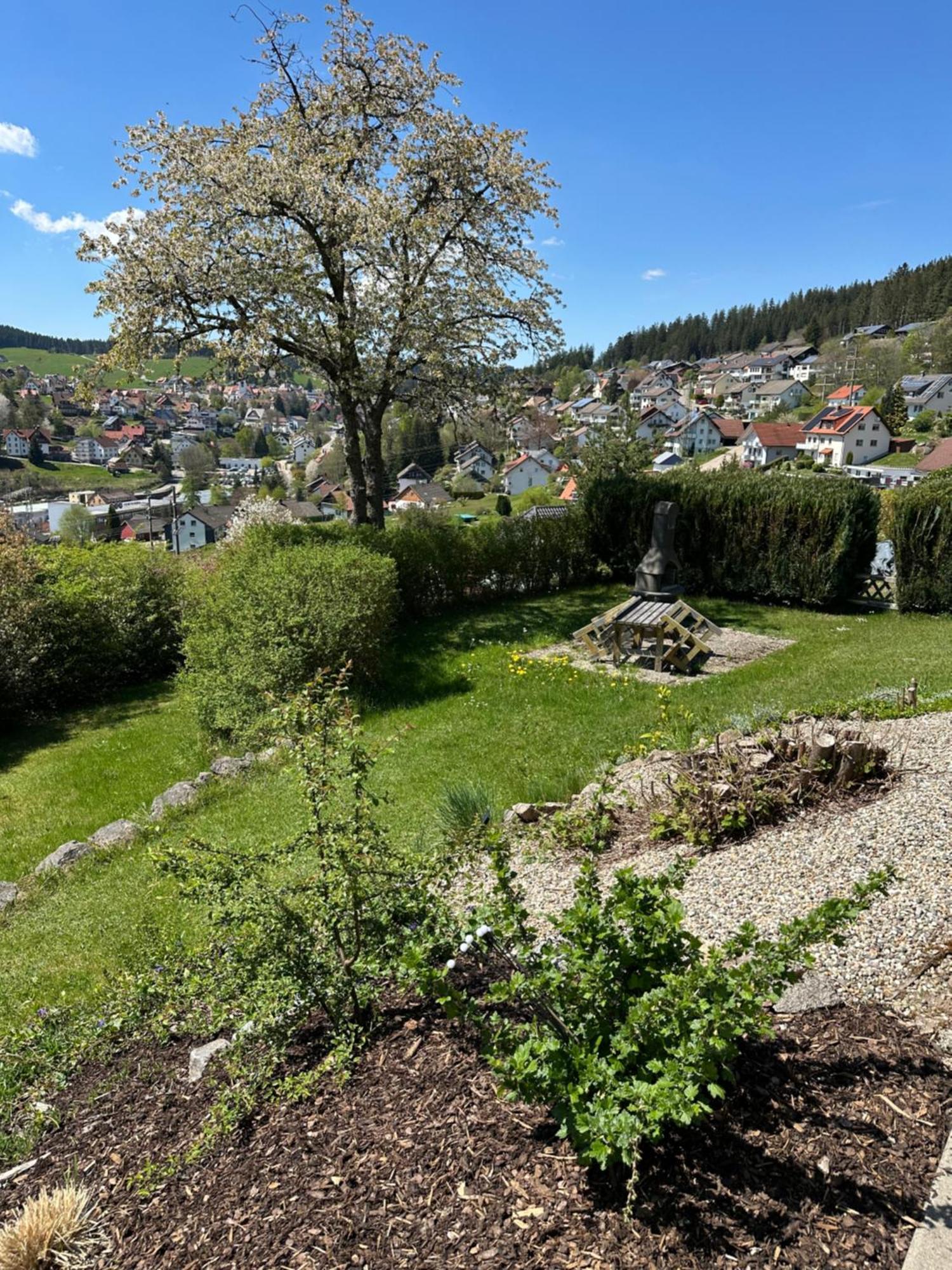 Schonach im SchwarzwaldSonneck Schonach公寓 外观 照片